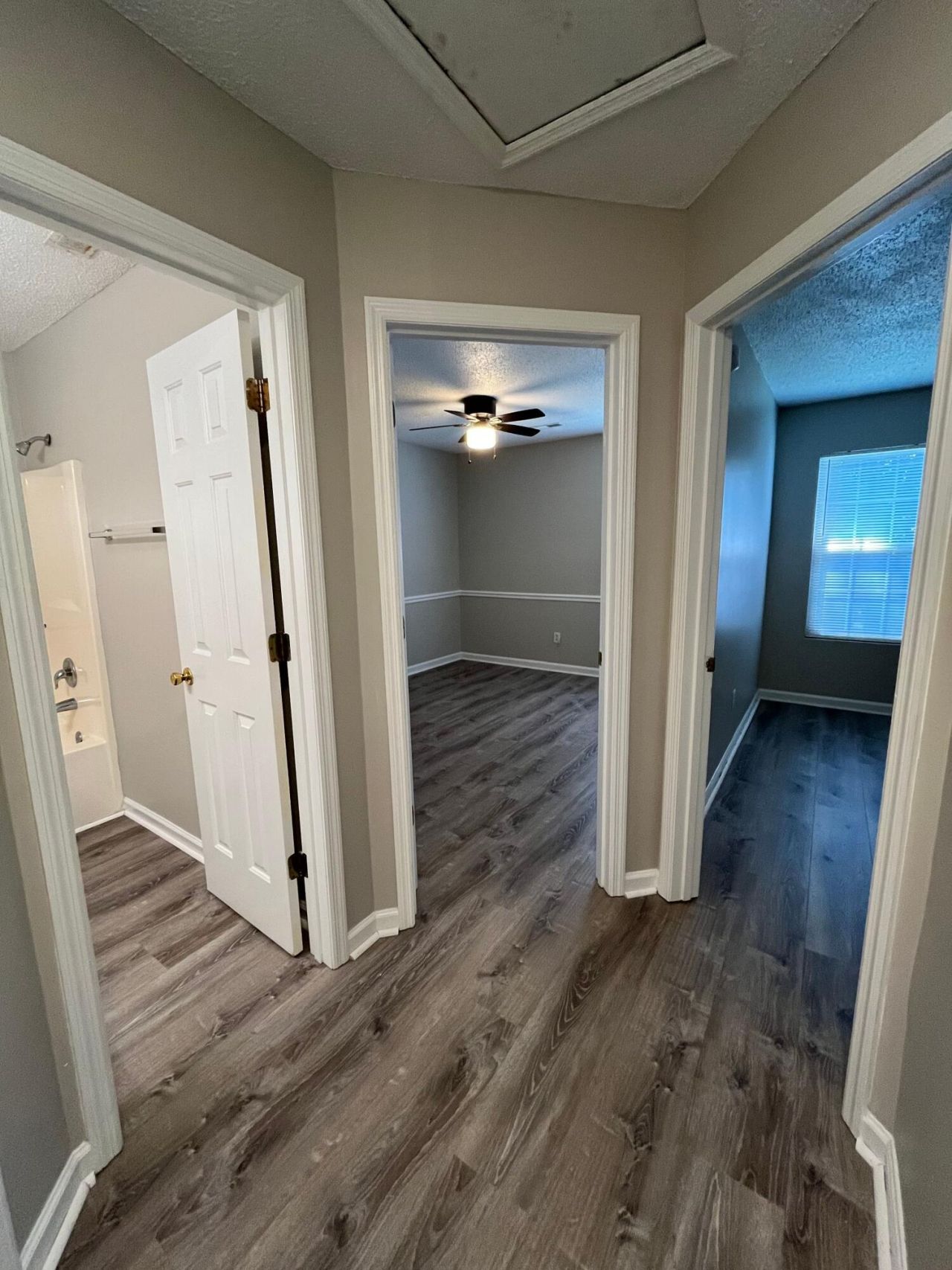 509 Dolphin Drive Photo 12