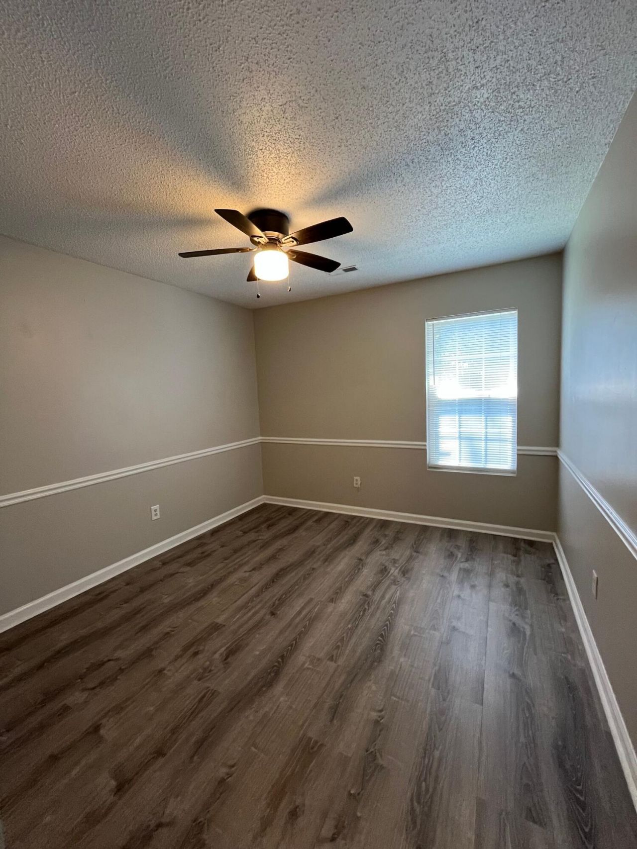 509 Dolphin Drive Photo 14