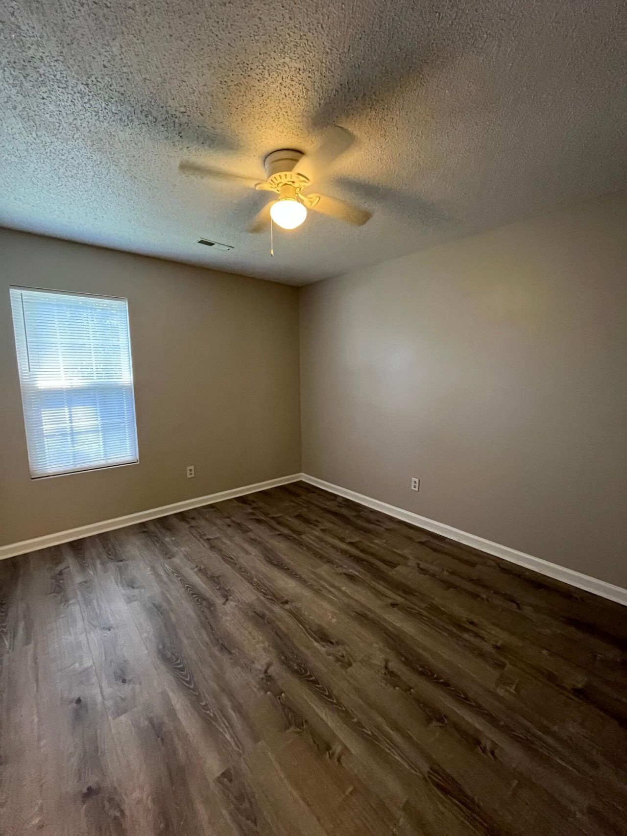 509 Dolphin Drive Photo 15