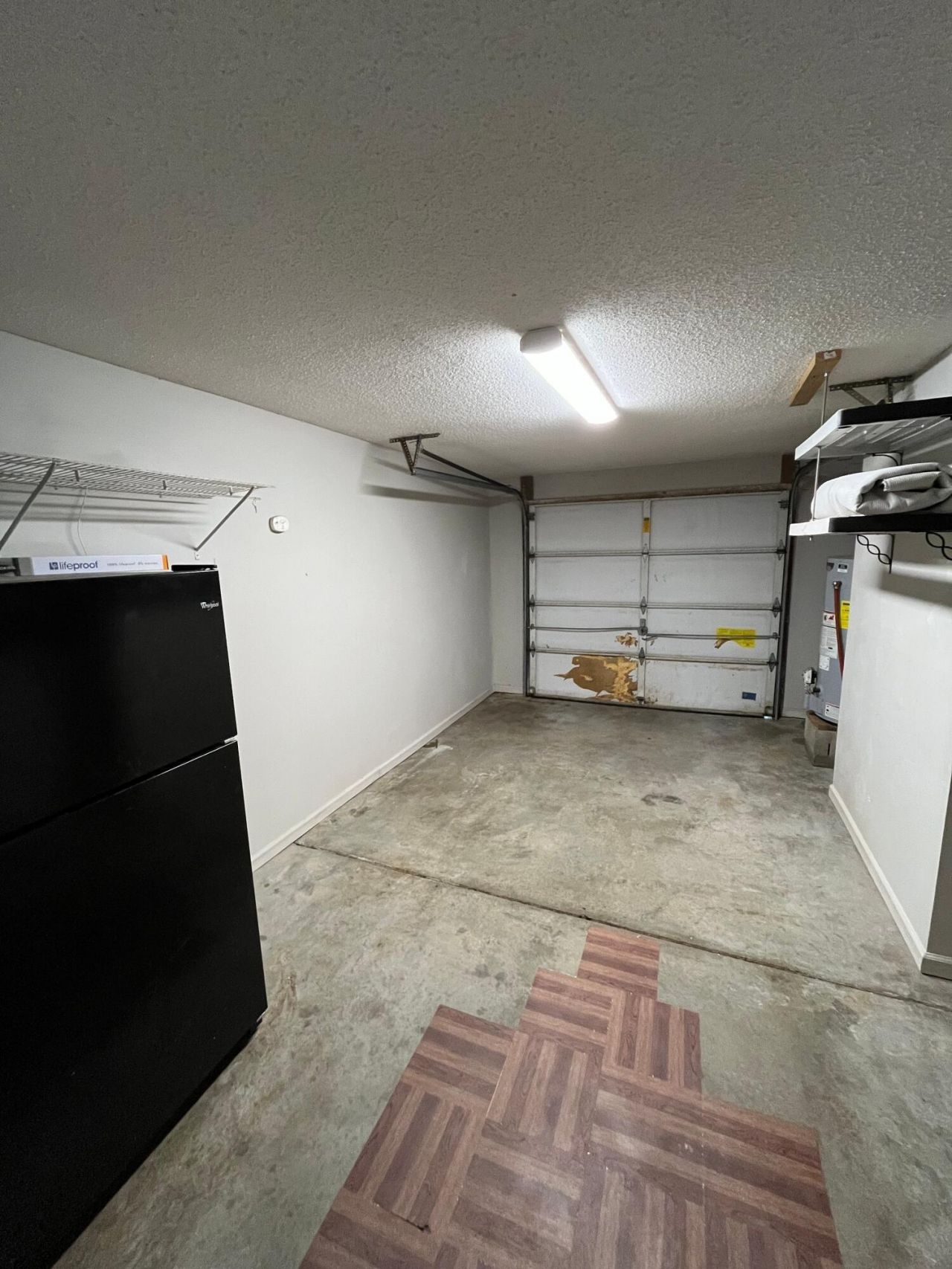 509 Dolphin Drive Photo 17