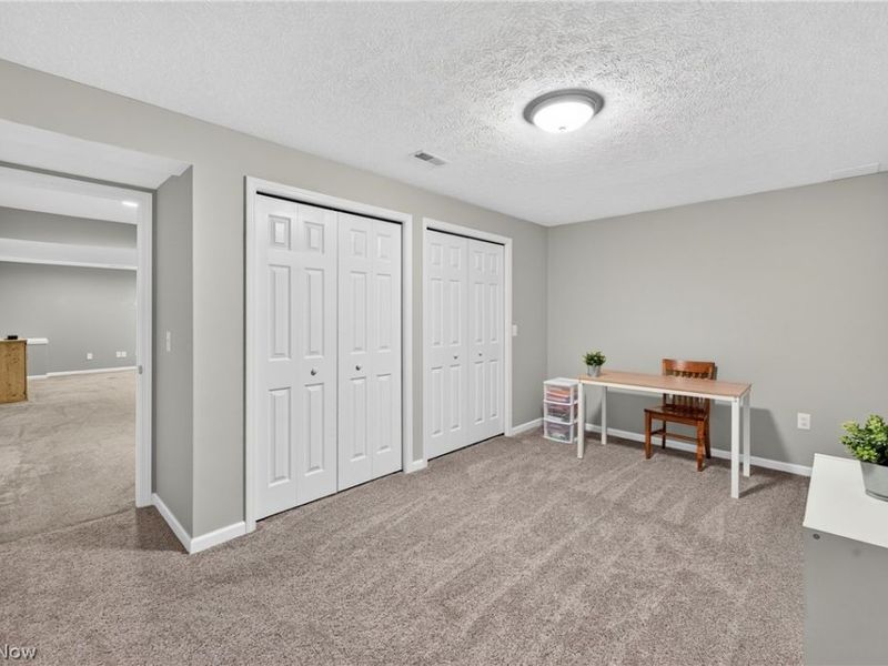 37502 Tail Feather Drive, North Ridgeville, OH 44039 Photo 44