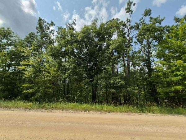 16370 Timberline Drive, Wolverine, MI 49799