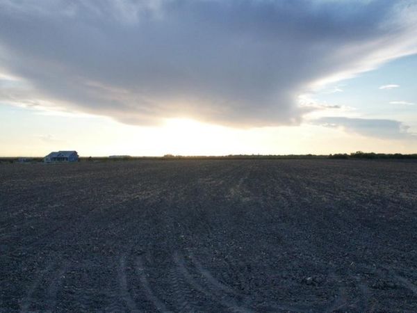 TBD-6 1 Mile East Rd, Mercedes, TX 78570