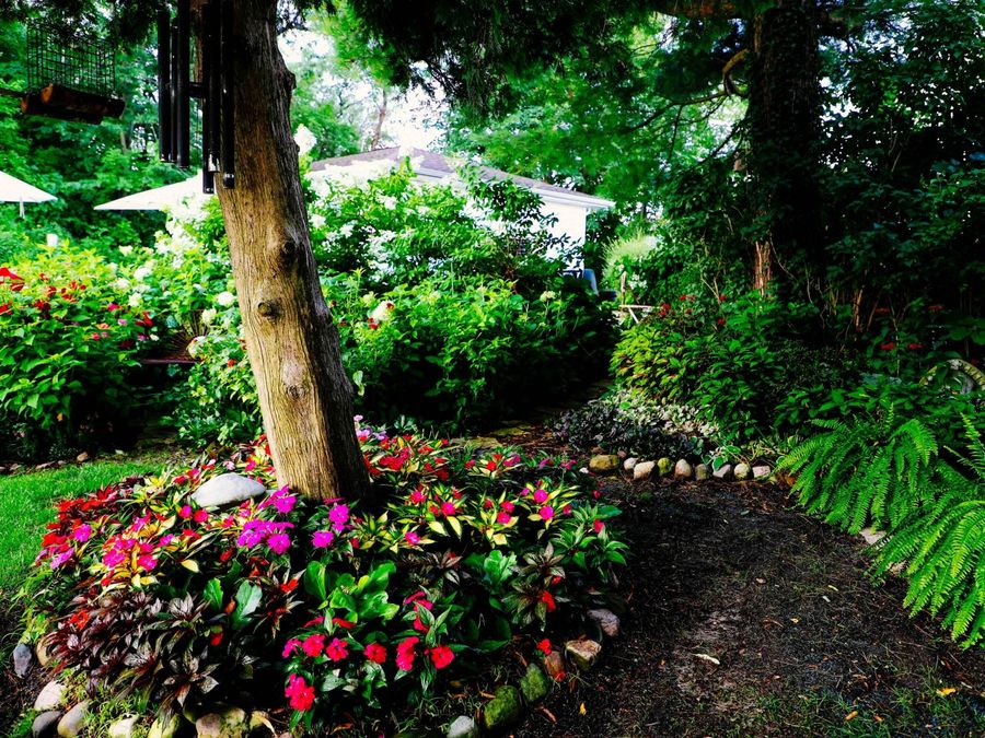 Property Image 40