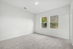 1203 Carriage Wood Circle photo 4