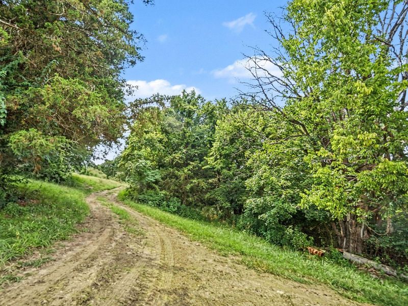 1778 Oddville-Sunrise Road, Cynthiana, KY 41031 Photo 19