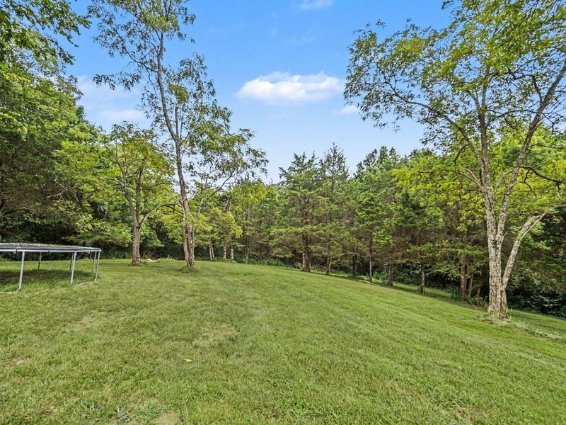 1778 Oddville-Sunrise Road, Cynthiana, KY 41031 Photo 21