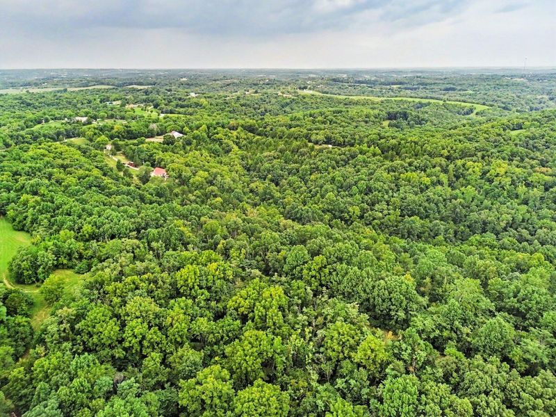 1778 Oddville-Sunrise Road, Cynthiana, KY 41031 Photo 23