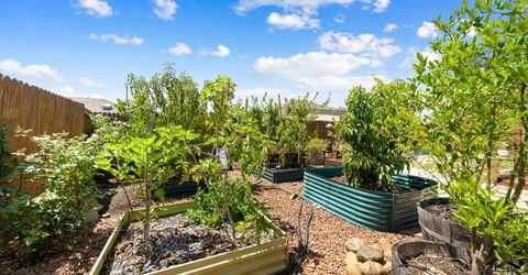 403 Callaway Ln, Ione, CA 95640 Photo