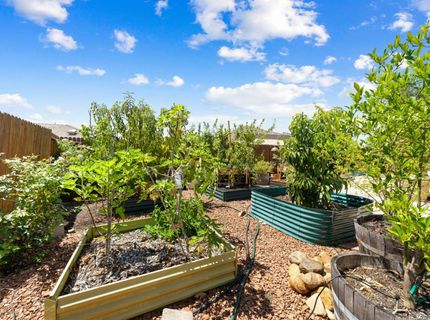 403 Callaway Ln, Ione, CA 95640 Photo