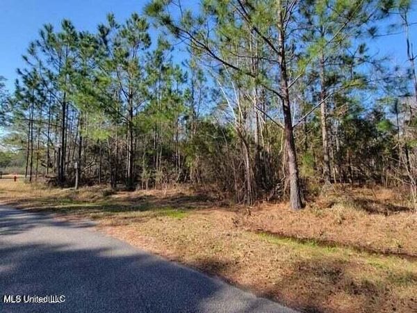 0 Wolf Street, Waveland, MS 39576