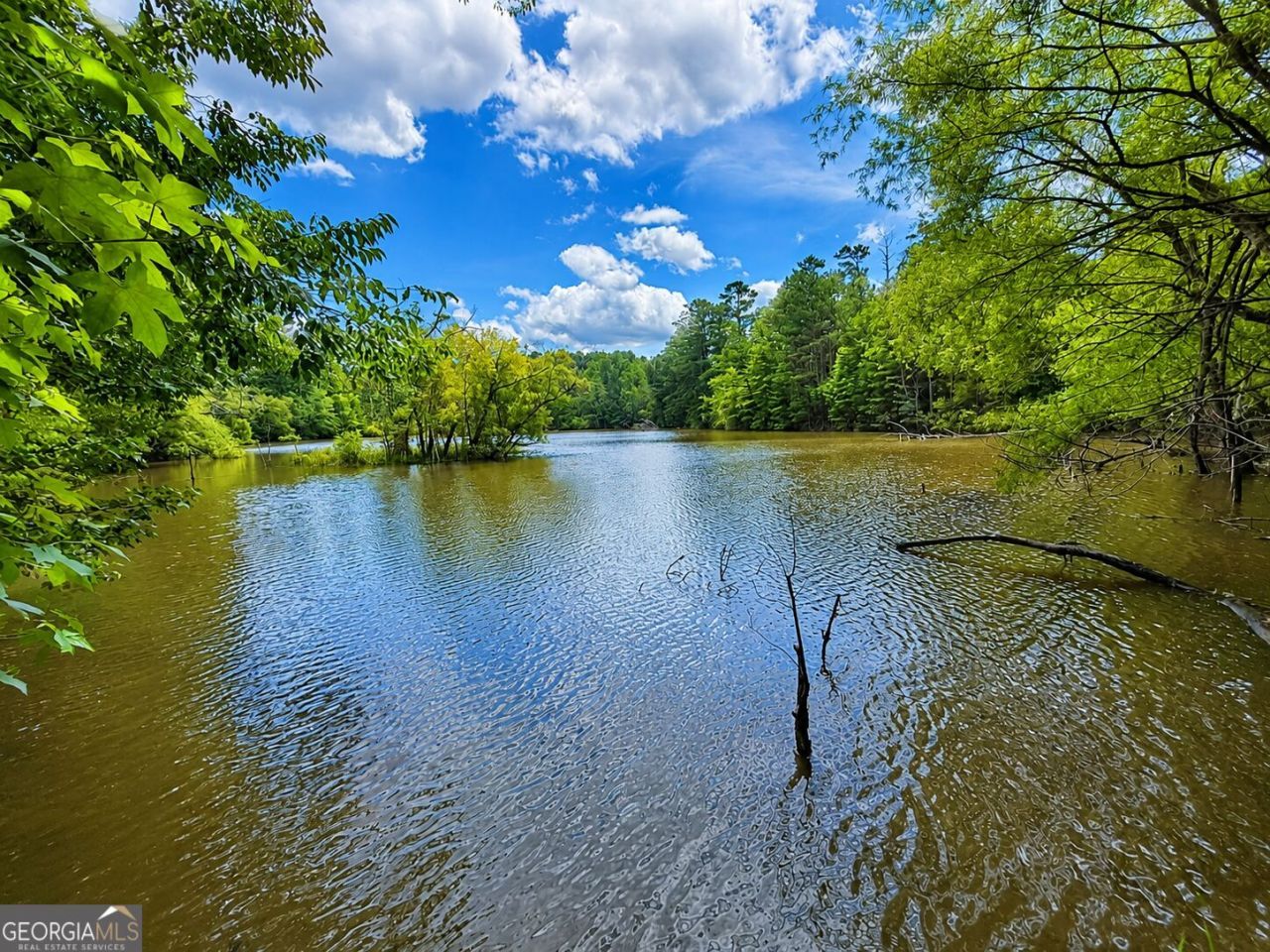 285 Acres River Road, Fortson, GA 31808 Main Photo