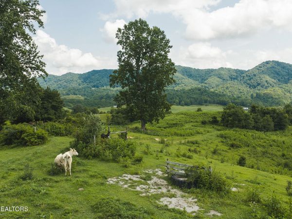 1430 Clinch Valley (55.55 acres) Rd, Sneedville, TN 37869