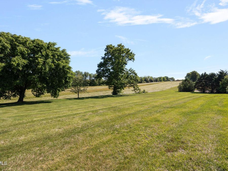 Property Image 64