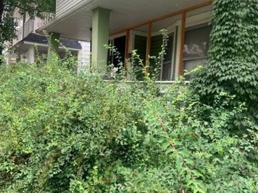 11503 Carolina Road, Cleveland, OH 44108