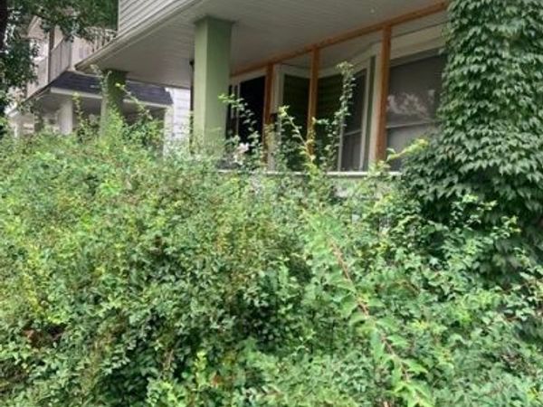 11503 Carolina Road, Cleveland, OH 44108