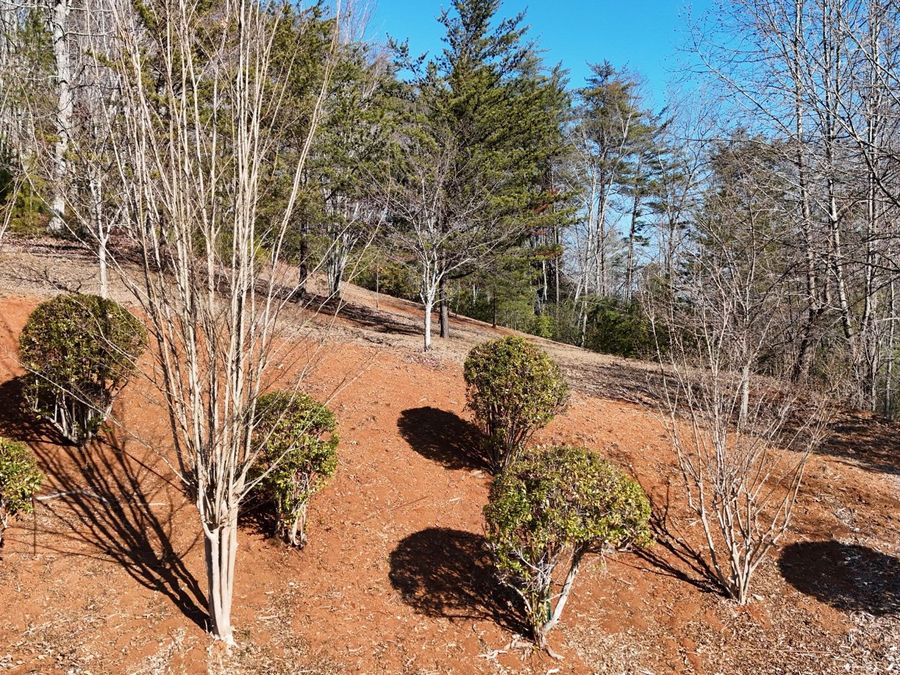 Property Image 66
