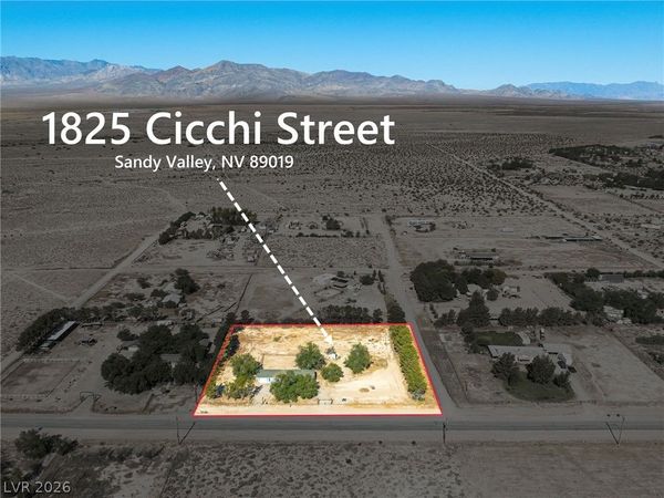 1825 Cicchi Street, Sandy Valley, NV 89019