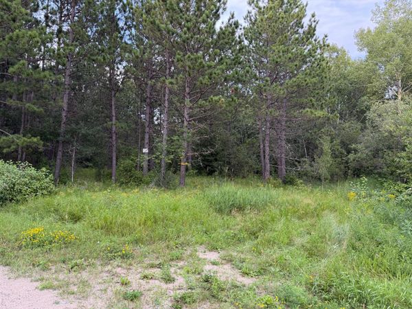 4788 Town Road , Ray, MN 56669