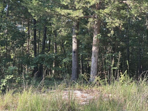 35377 County Road W-264, Vanzant, MO 65768