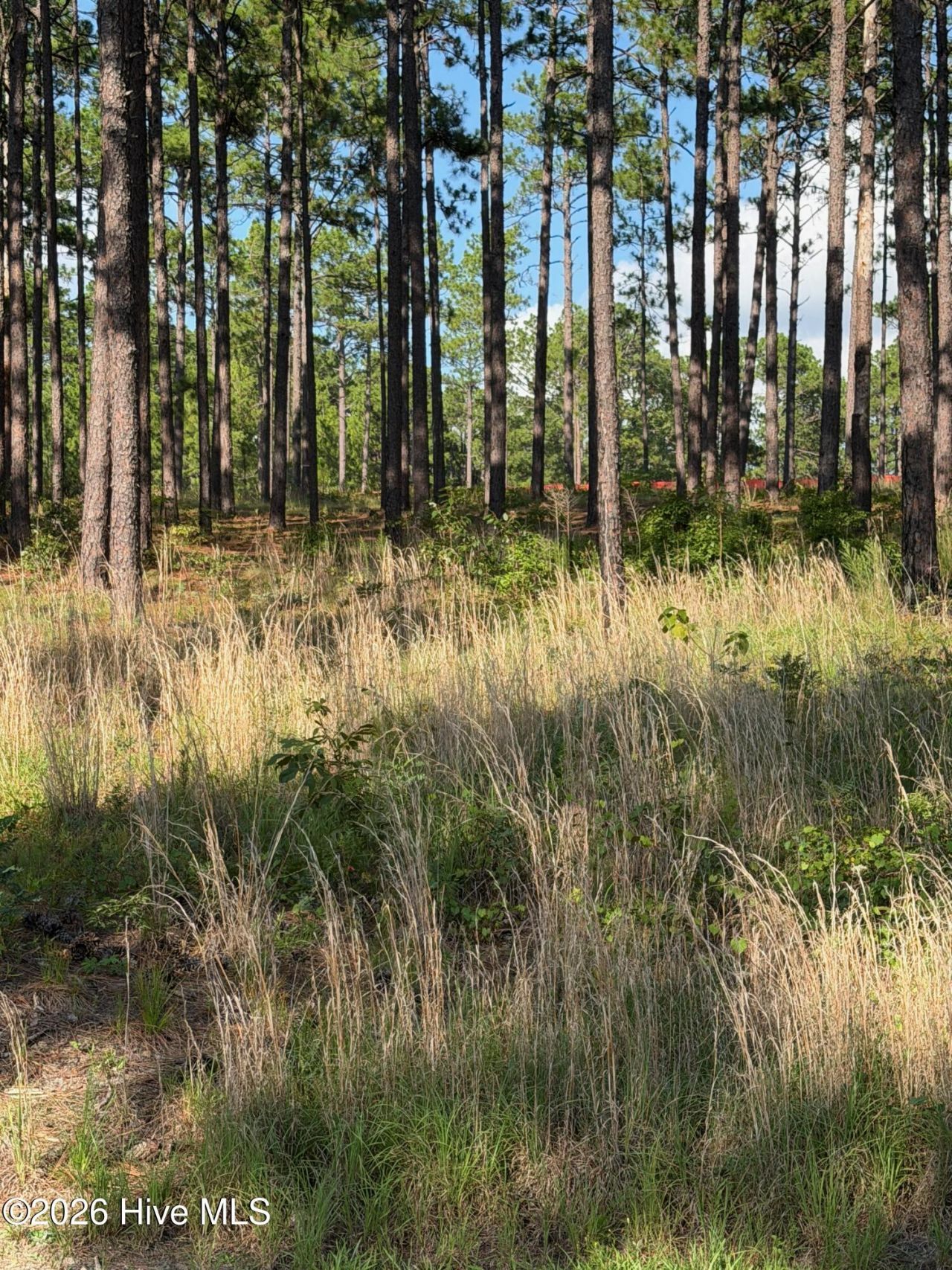 481 N Fort Bragg Road, Southern Pines, NC 28387 Main Photo
