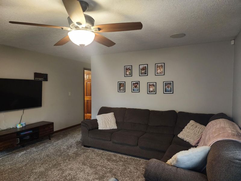 244 Miller Street, West Liberty, OH 43357 Photo 23