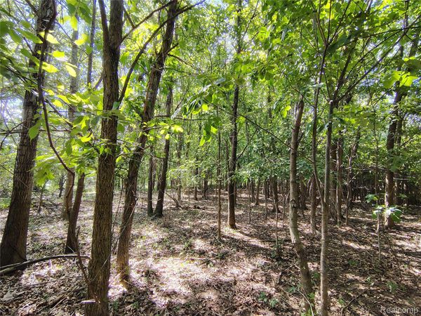Parcel D Brigham Road, Hadley Township, Mi 48438