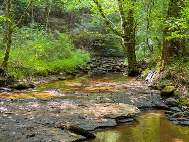 2045 Teges Creek Road, Manchester, KY 40962