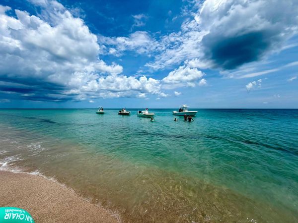 5061 N HIGHWAY A1A, Unit 705, Hutchinson Island, FL 34949