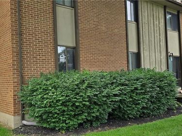 5109 Belle Isle Drive, West Carrollton, OH 45439