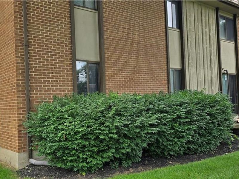 5109 Belle Isle Drive, West Carrollton, OH 45439 Photo 1
