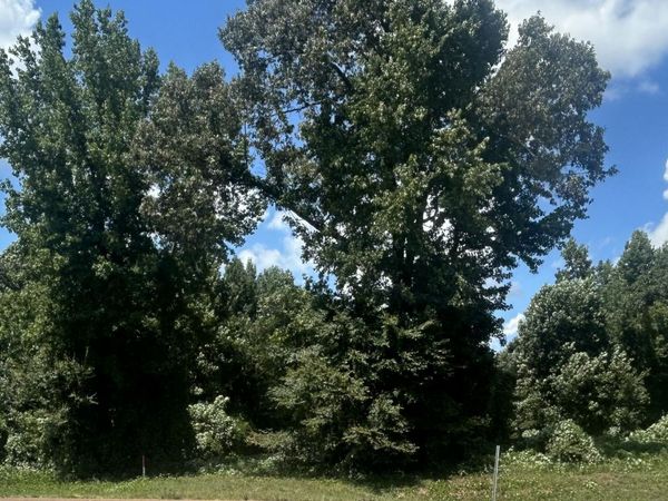 Hwy 72 , Walnut, MS 38683