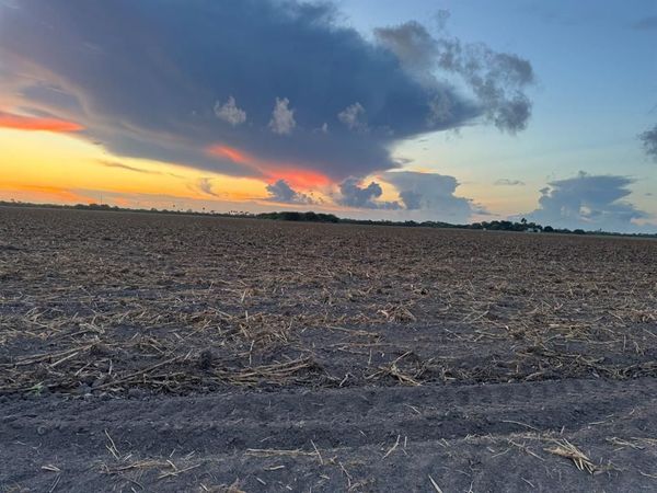 TBD-2 Mile 3 East Rd, La Feria, TX 78570