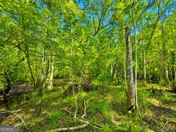 0 Herrin Lake, Nahunta, GA 31553