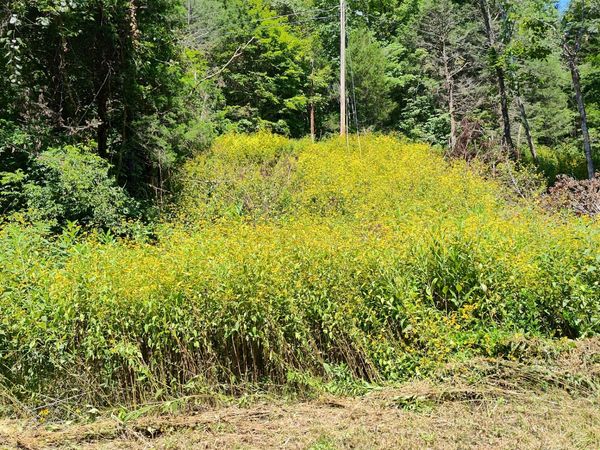 465 Halls Hollow Rd , Smithville, TN 37166
