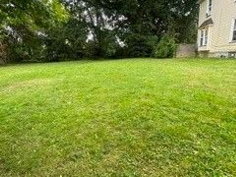 1318 Marcy Street, Akron, OH 44301 Photo 3