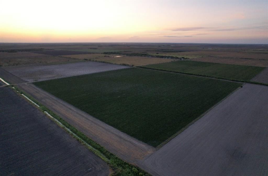 Tbd-3 Mile 3 East Rd, La Feria, TX 78570 Main Photo
