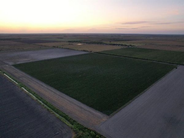 TBD-3 Mile 3 East Rd, La Feria, TX 78570