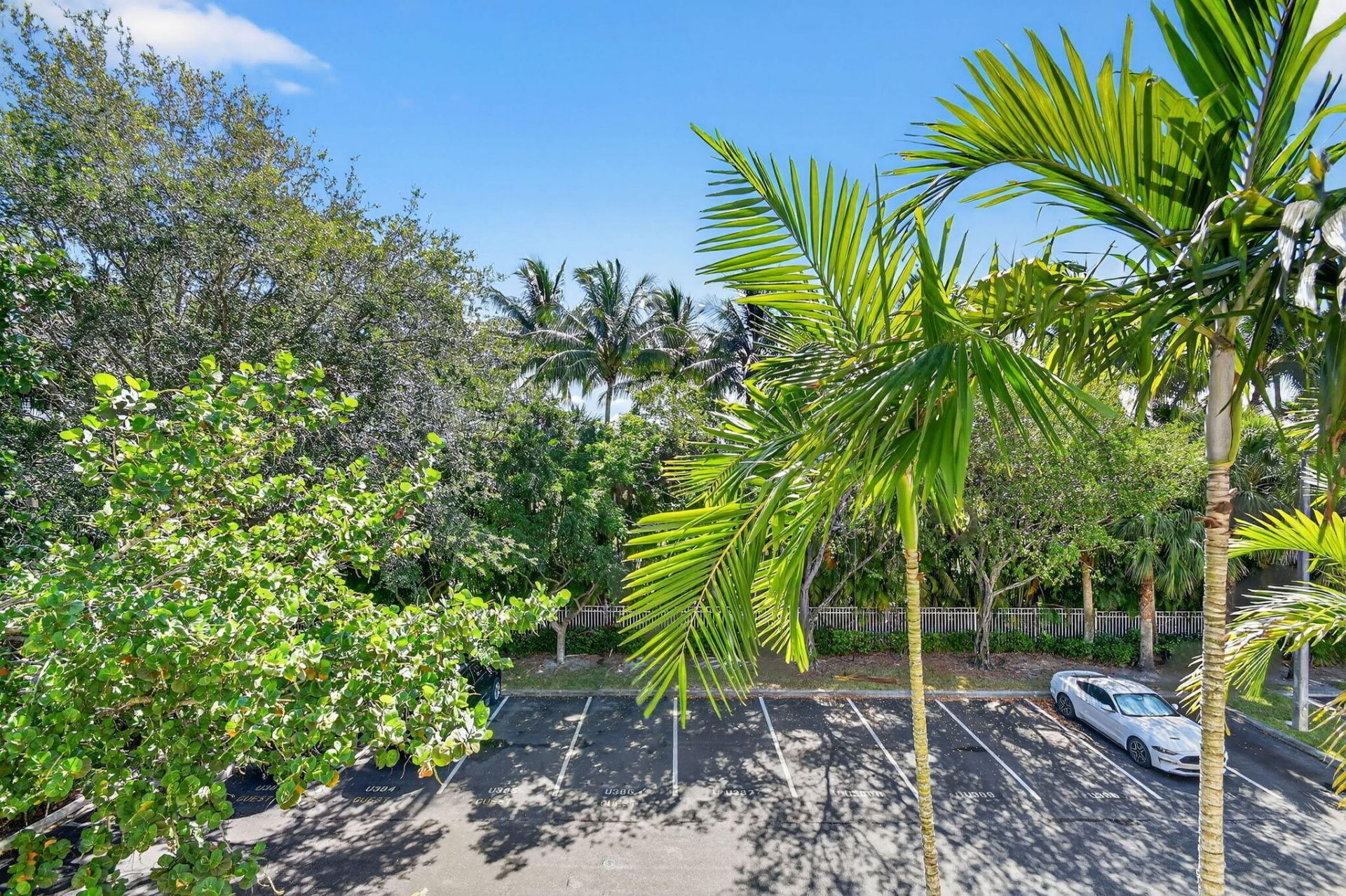 6511 Emerald Dunes Drive, Unit 304, West Palm Beach, FL 33411 Photo