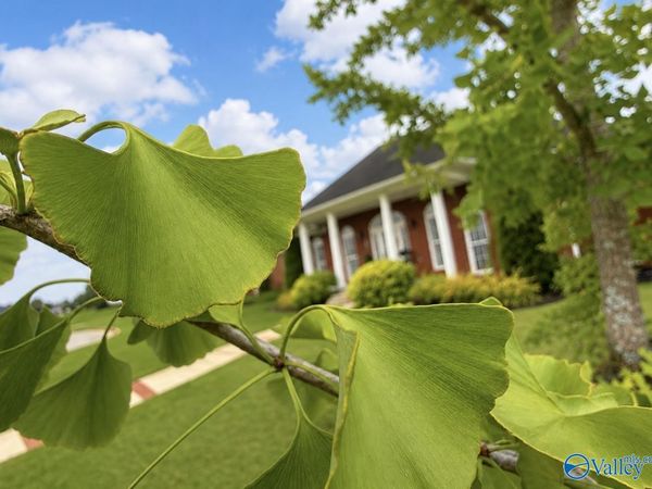 2001 Park Terrace, Decatur, AL 35601