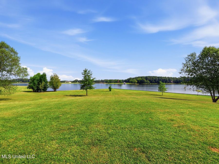 Property Image 60