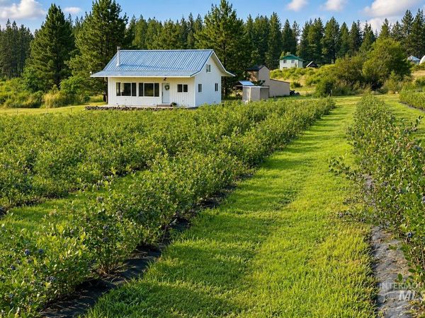110 Abiding Way, Kooskia, ID 83536