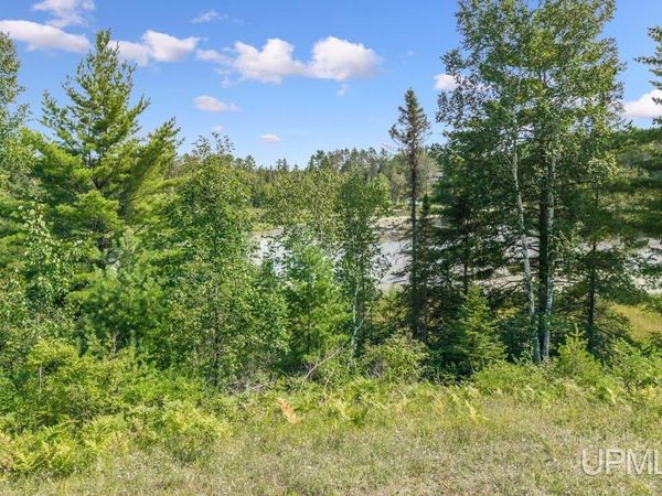 W3183 N Lake Louise Drive, Waucedah Twp, MI 49892