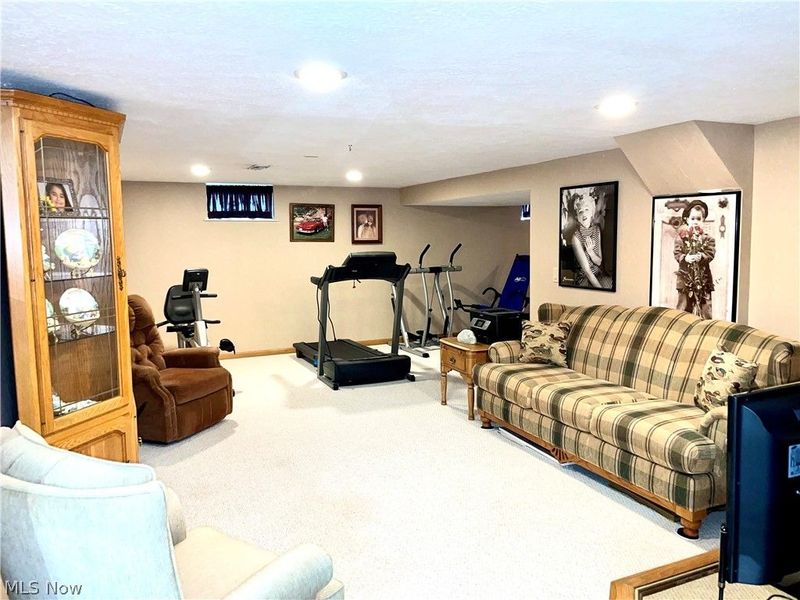 1445 Fatima Drive, Parma, OH 44134 Photo 25