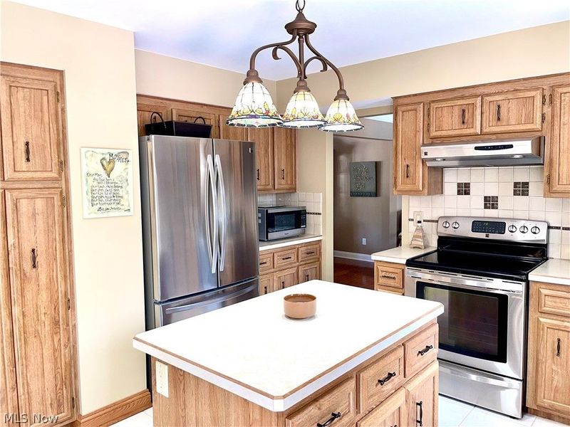 1445 Fatima Drive, Parma, OH 44134 Photo 7