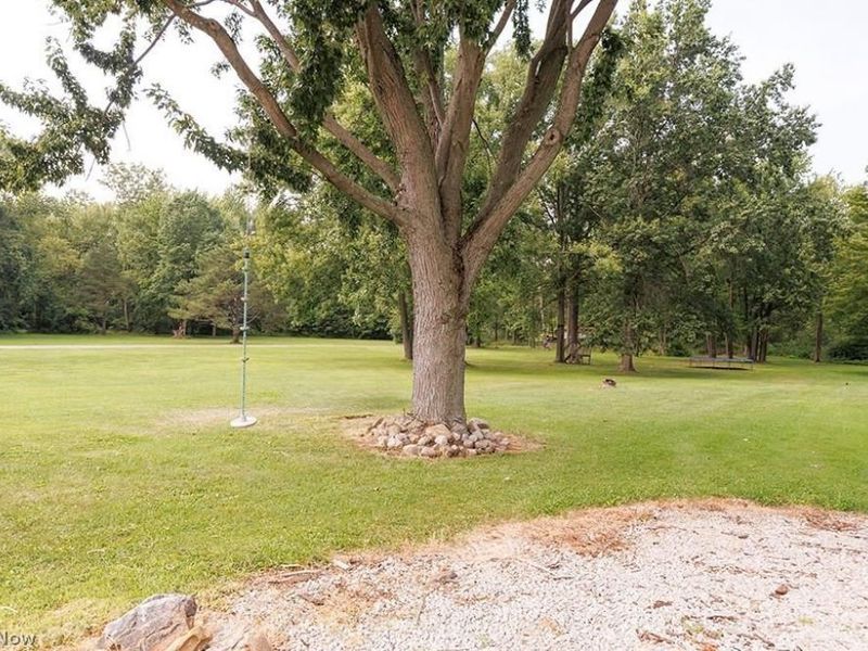 32618 Detroit Road, Avon, OH 44011 Photo 6