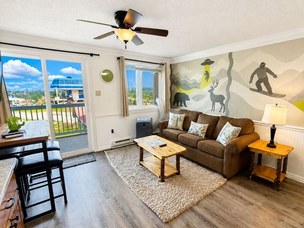 75 Mountain Lodge Ln, Snowshoe, WV 26209