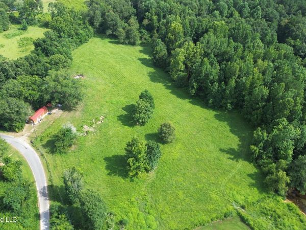 386 S Co Road 111-a , Raleigh, MS 39153