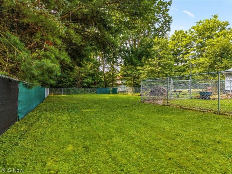 823 N Rockhill Avenue, Alliance, OH 44601 Photo 31