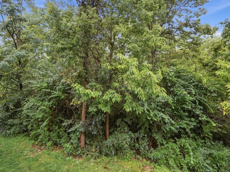 7464 Bridge Point Drive, Green Township, OH 45248 Photo 42